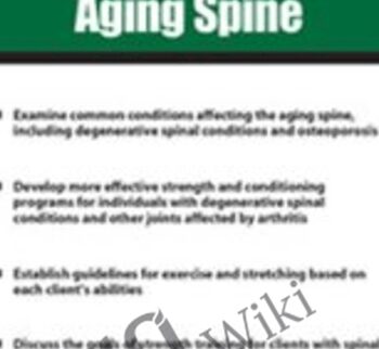 Functional Strength Training for the Aging Spine - Shari Kalkstein