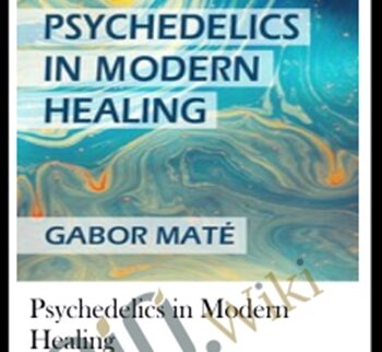 Psychedelics in Modern Healing - Gabor Maté