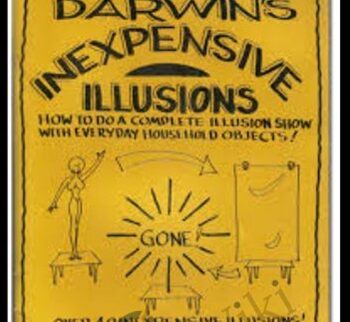 Inexpensive Illusions - Gary Darwin
