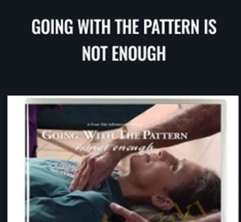 Going With the Pattern Is Not Enough (for feldenkrais practitioners) - Jerry Karzen