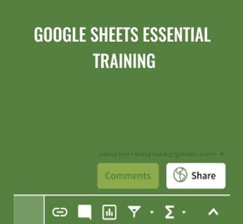Google Sheets Essential Training - Sally Norred