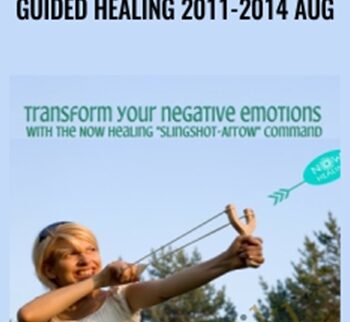 Guided Healing 2011-2014 Aug - Ehna Mayer