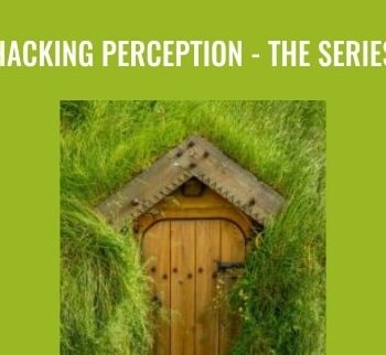 Hacking Perception – The Series - Joseph Riggio