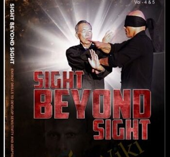 Sight Beyond Sight - Harinder Singh Sabharwal