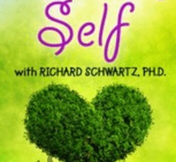 Healing Self: Going Beyond Acceptance to Self-Compassion - Richard C. Schwartz