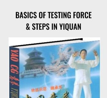 Basics of Testing force & steps in Yiquan – Healing posts