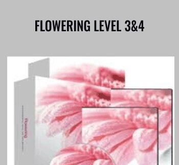 Flowering Level 3&4 - Holosync