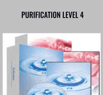 Purification Level 4 - Holosync