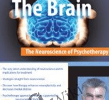 How Therapy Changes the Brain - Louis Cozolino