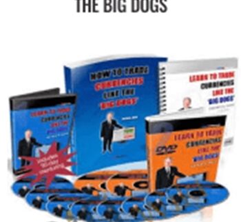 How to Trade Currencies Like the Big Dogs – Forexmentor