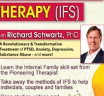 Internal Family Systems Therapy (IFS): A Revolutionary & Transformative Treatment of PTSD, Anxiety, Depression, Substance Abuse - and More! - Richard C. Schwartz