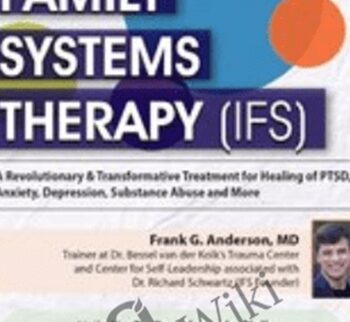 Internal Family Systems Therapy (IFS): A Revolutionary & Transformative Treatment for Permanent Healing of PTSD, Anxiety, Depression, Substance Abuse and More! - Frank G. Anderson