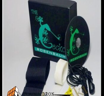 The Gecko - Jim Rosenbaum