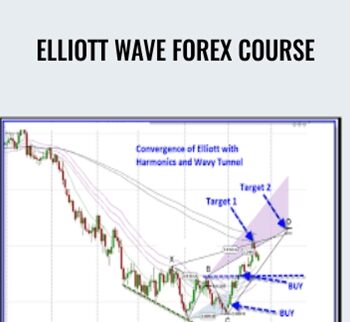 Elliott Wave Forex Course - Jody Samuels
