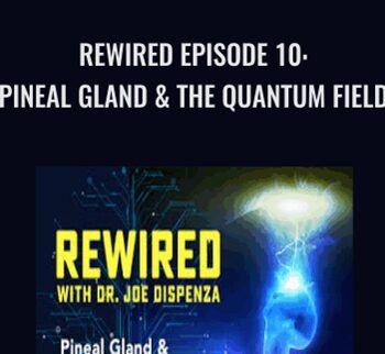 Pineal Gland & the Quantum Field