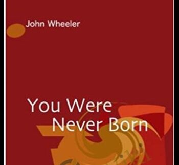 You Were Never Born - John Wheeler