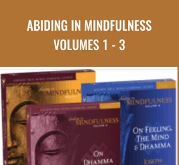 Abiding in Mindfulness Volumes 1 - 3 - Joseph Goldstein