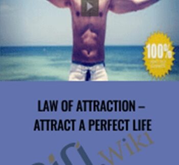 Law of Attraction – Attract a Perfect Life