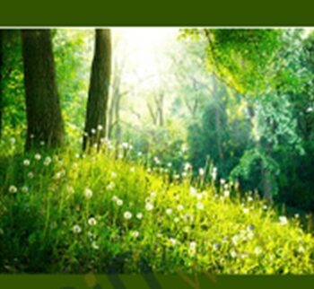Life In The Soil Class – Dr. Elaine Ingham