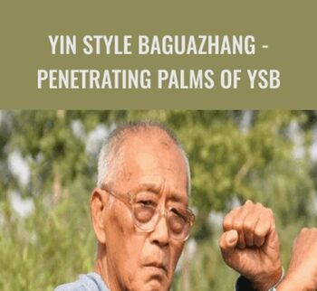 Yin Style Baguazhang – Penetrating Palms Of YSB – Liu Shichang