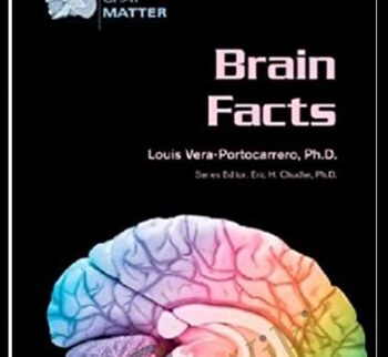 Brain Facts (Gray Matter) - Louis Vera-Portocarrero