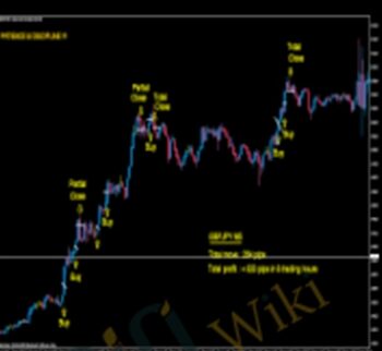 MAX Advanced Course – Maxtradingsystem