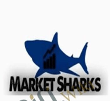 MarketSharks Forex Training – Avdo Hadziavdic
