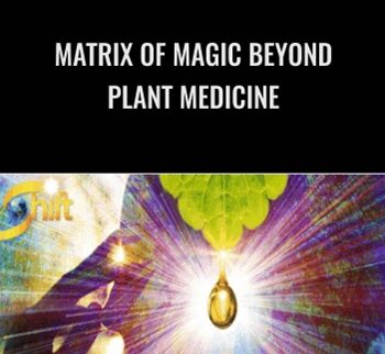 Matrix of Magic Beyond Plant Medicine - David Crow