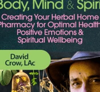 Medicinal Plants for Protecting the Body, Mind and Spirit - David Crow