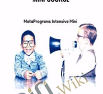 MetaPrograms Intensive Mini Course – Joseph Riggio