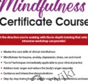 Mindfulness Certificate Course: 2-Day Intensive Training - Terry Fralich