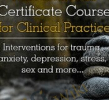 Mindfulness Certificate Course for Clinical Practice: Interventions for trauma, anxiety, depression, stress, sex and more - Terry Fralich