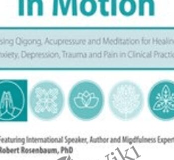 Mindfulness in Motion: Using Qigong, Acupressure and Meditation for Healing Anxiety, Depression, Trauma and Pain in Clinical Practice - Robert Rosenbaum