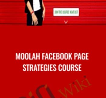 Moolah Facebook Page Strategies course - Moolah