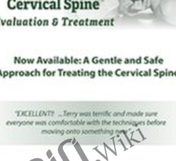 Muscle Energy Techniques for the Cervical Spine: Evaluation & Treatment - Terry Bemis