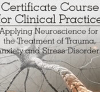 Neuroscience Certificate Course for Clinical Practice: Applying Neuroscience for the Treatment of Trauma, Anxiety and Stress Disorders - Melanie Greenberg