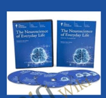 Neuroscience of Everyday Life – Sam Wang