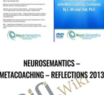 Neurosemantics – Metacoaching – Reflections 2013