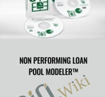 Non Performing Loan Pool Modeler™
