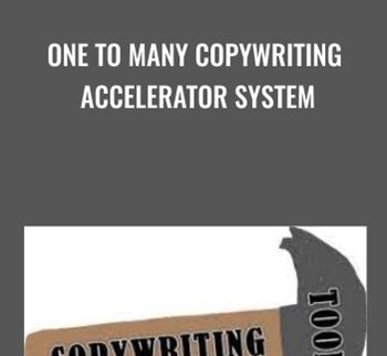 One To Many Copywriting Accelerator System - Dave Dee