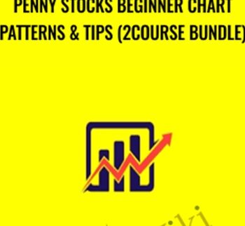 Penny Stocks Beginner Chart Patterns & Tips (2Course Bundle) - Saad Tariq Hameed