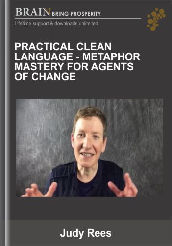 Practical Clean Language – Metaphor Mastery For Agents Of Change – Judy Rees