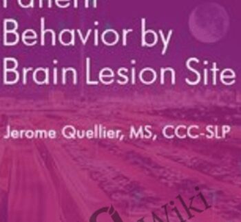 Predicting Patient Behavior by Brain Lesion Site - Jerome Quellier