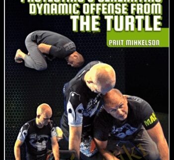 Protecting & Generating Dynamic Offense From The Turtle - Priit Mihkelson
