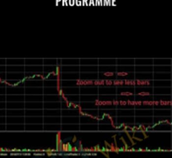 Professional Trader Training Programme  – Tradimo
