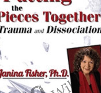 Putting the Pieces Together: Trauma and Dissociation - Janina Fisher