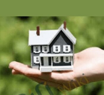 Raise Millions of Dollars for Real Estate - Monica Main