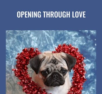 Opening Through LOVE - Rudy Hunter