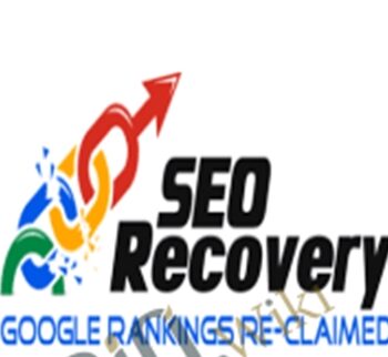 SEO Recovery – John Pearce and Chris Cantell