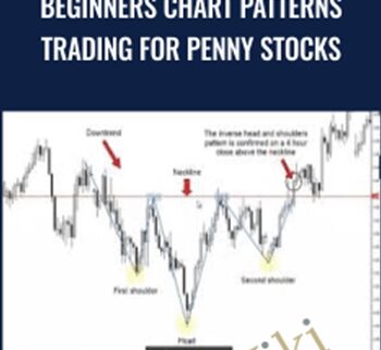 Beginners Chart Patterns Trading for Penny Stocks - Saad Tariq Hameed